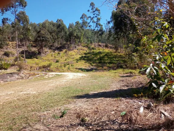 Imagem Chácara à Venda, 96.000 m² em KM 45 DA RODOVIA TAMOIOS  - Paraibuna