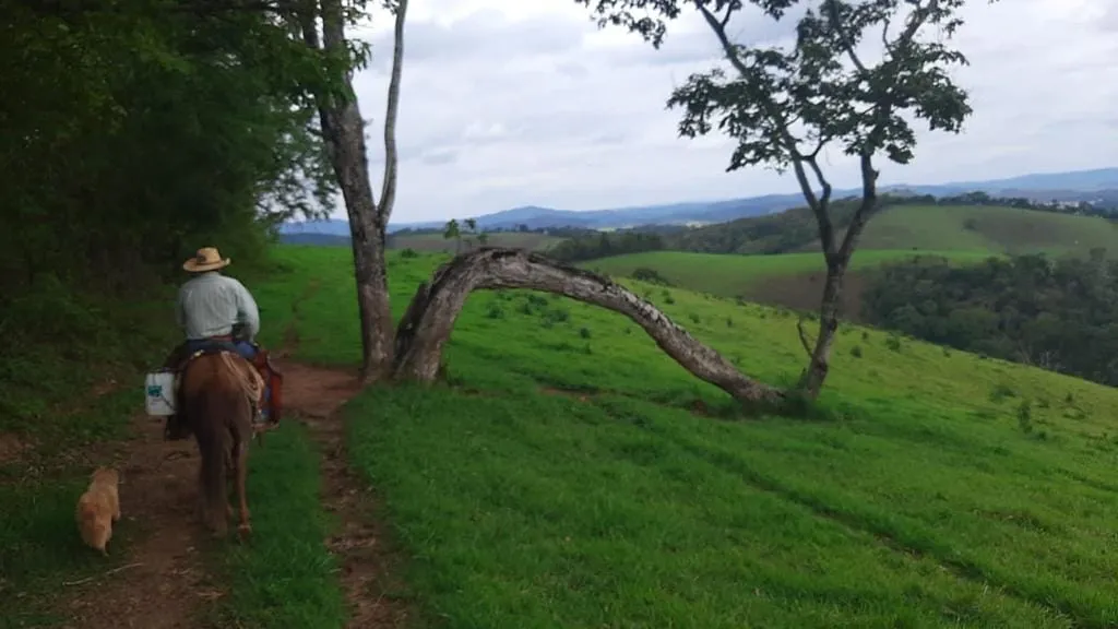 Imagem Chácara à venda 1300000M², Centro, São Lourenço - MG
