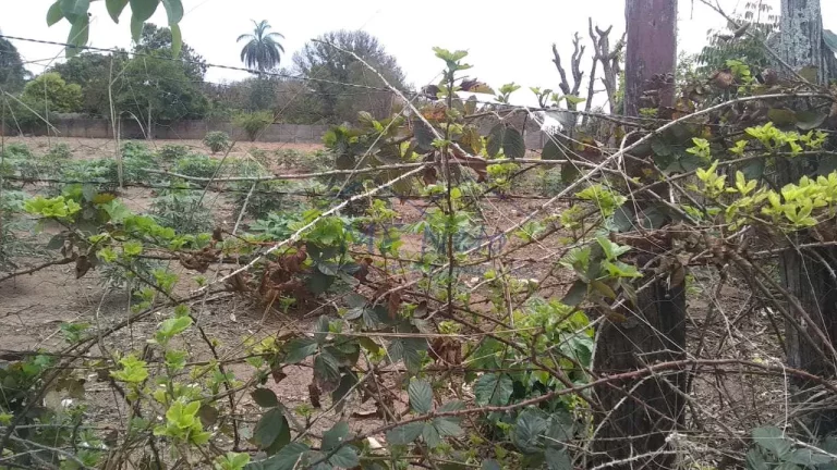 Imagem Terreno Padrão