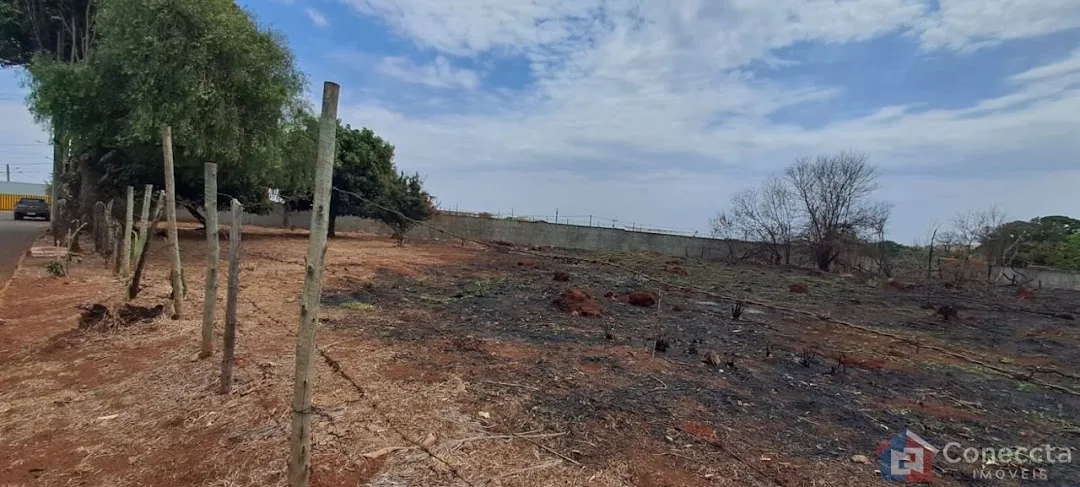 Imagem Terreno Residencial à venda, Alto dos Caiçaras, Patos de Minas - TE0084.