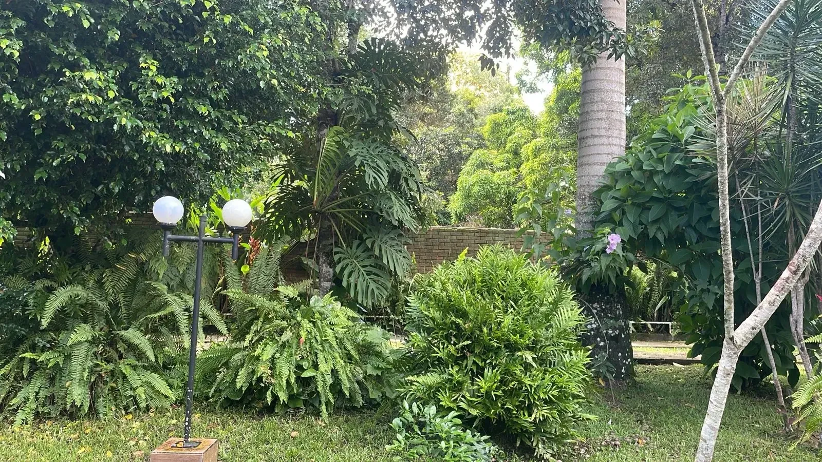 Foto do imóvel: Casa com 5 Quartos à Venda, 220 m² em Aldeia dos Camarás - Camaragibe