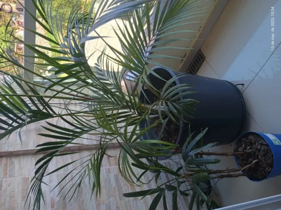 Imagem "Esse sobrado é tipo 2 em 1: casa linda + espaço pra ganhar dinheiro!"