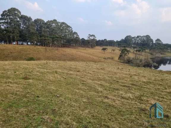 Imagem Sítio/Chácara a venda com 33 hectares bem localizado no interior de São Joaquim - SC