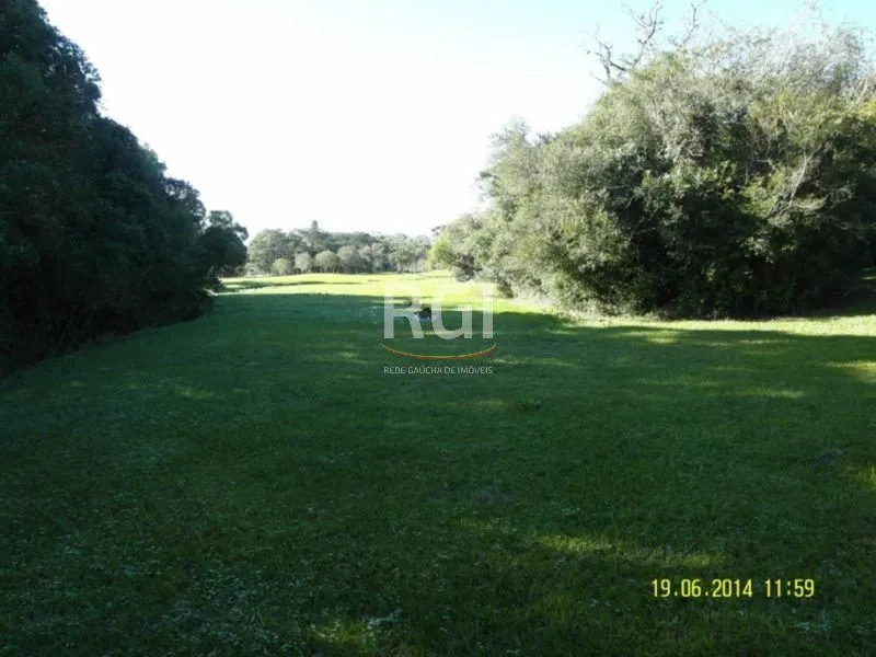 Imagem Area para Venda - 35000m², 0 dormitórios, Centro