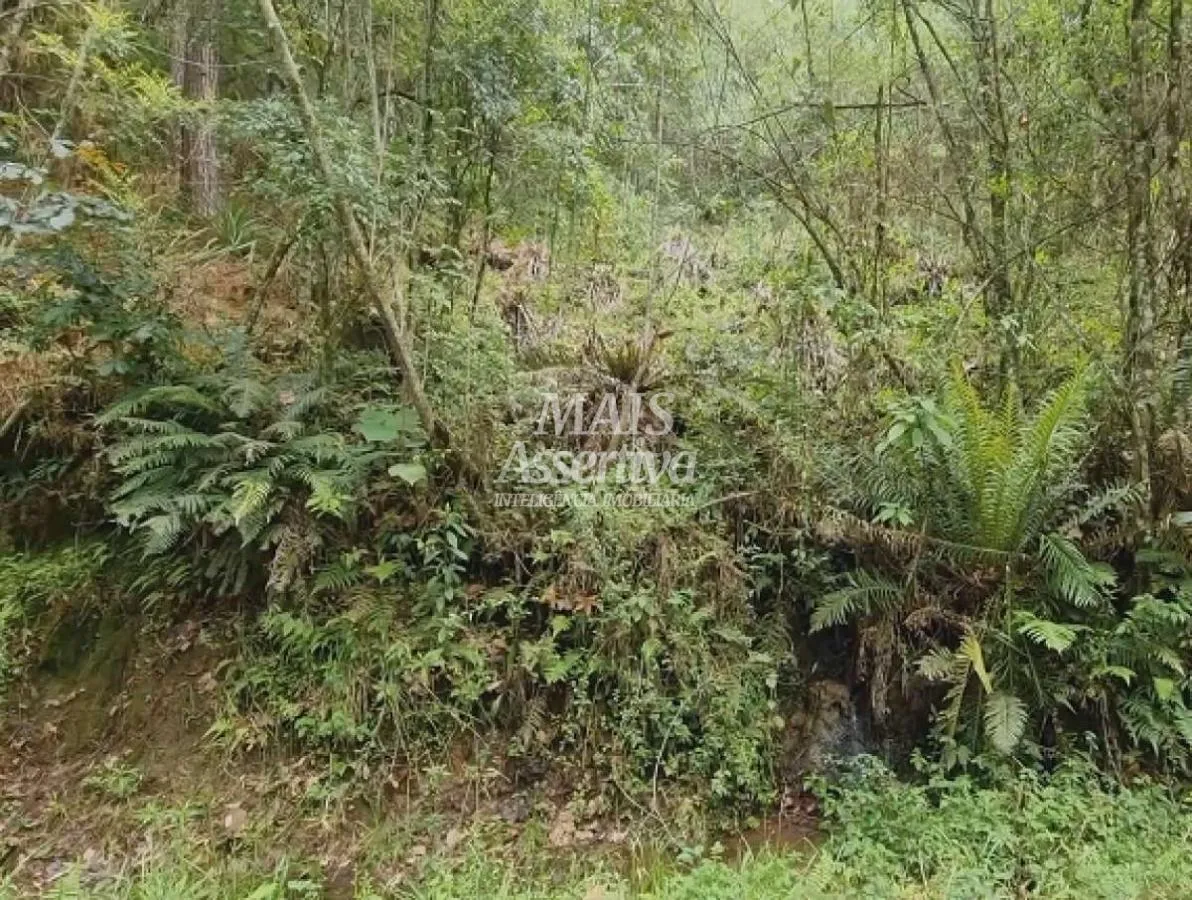 Imagem Sítio para Venda em São Francisco De Paula / RS no bairro Centro