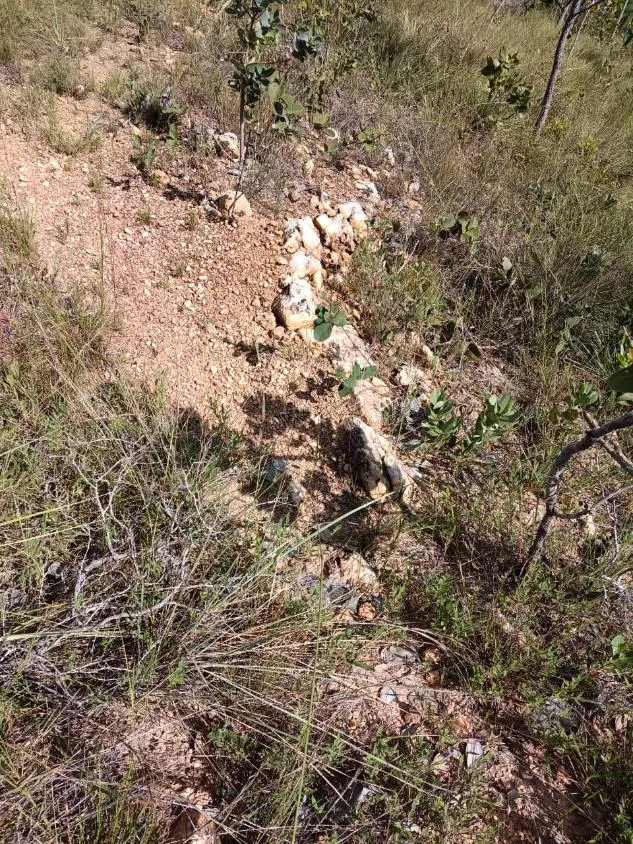 Imagem FAZENDA À VENDA EM SANTANA DO PIRAPAMA ? MG , com 338 hectares de terra