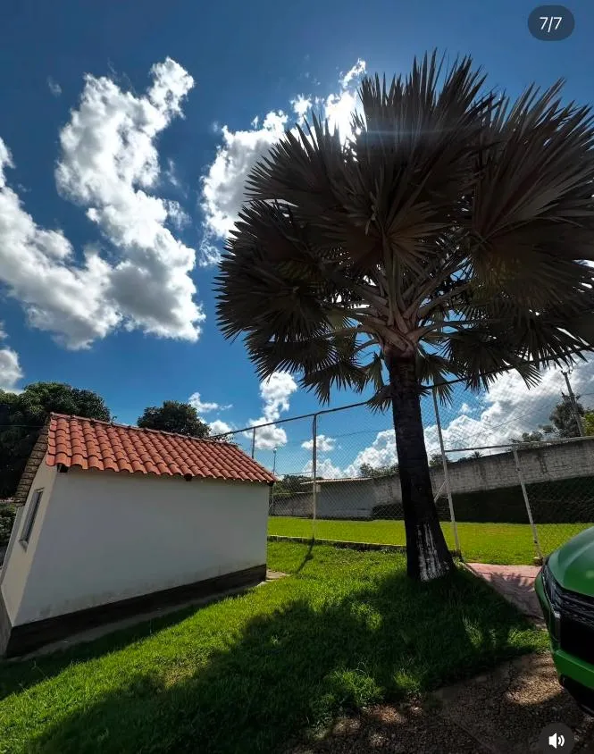 Imagem CHÁCARA À VENDA EM IGARAPÉ /com 3.000 m² de área,