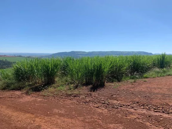Imagem Fazenda 72 alqueires Patrocínio Paulista!!!