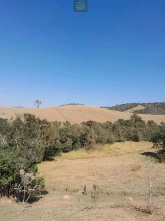 Imagem Terreno incrível para criação de animais e plantio