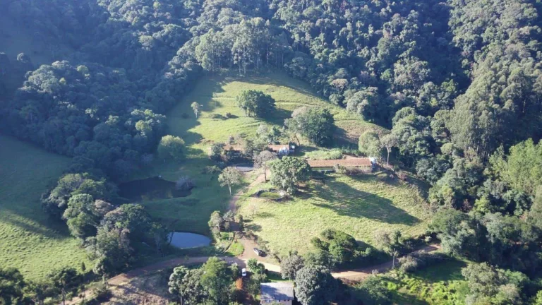 Foto do imóvel Área Agrícola para Venda em Lindóia do Sul, Linha Mimosa em Lindoia do Sul