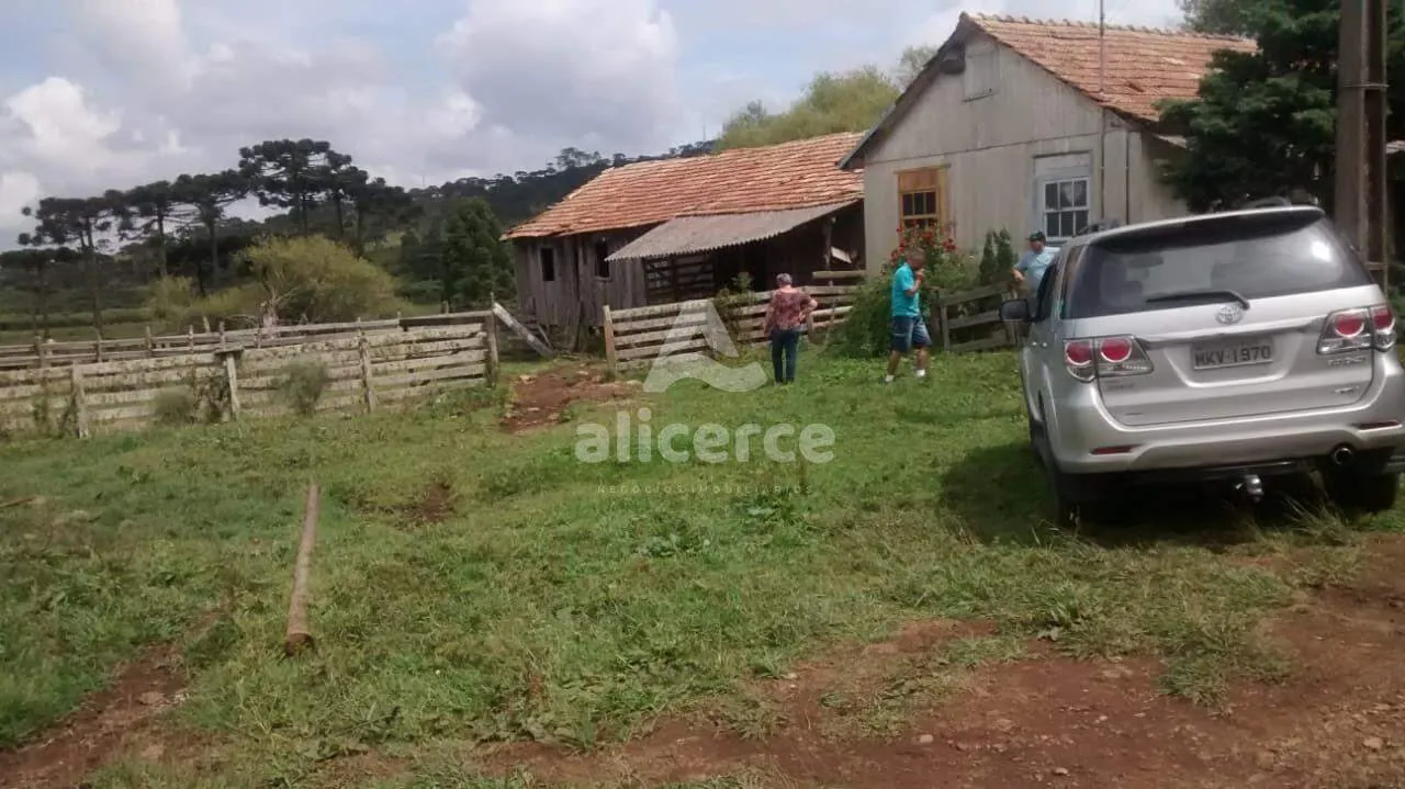 Imagem Fazenda Produtiva à Venda em São Joaquim/SC | 3.200 Macieiras | Araucárias | Lago | Nascente | Exclusividade Imobiliária Alicerce