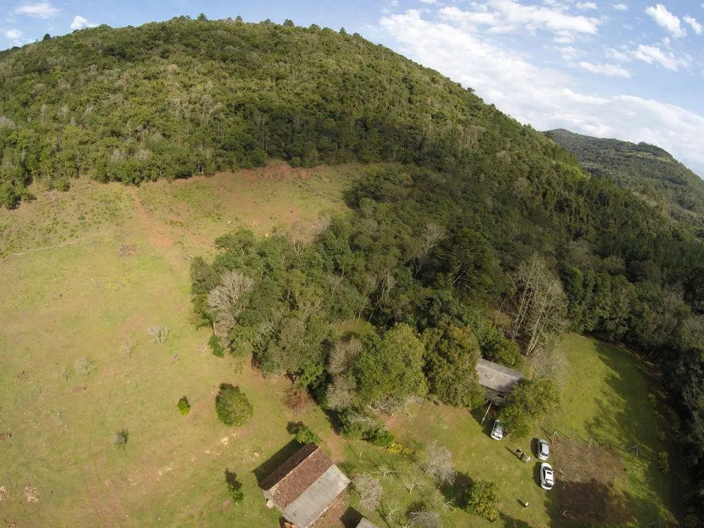 Imagem Chácara à venda em Gramado, Linha Forqueta, 223400m2