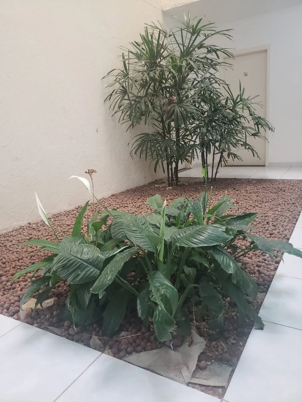 Imagem Apartamento à venda 2 Quartos, 1 Vaga, São Dimas, Guaratinguetá - SP | marcos ( ESQUINA BEER