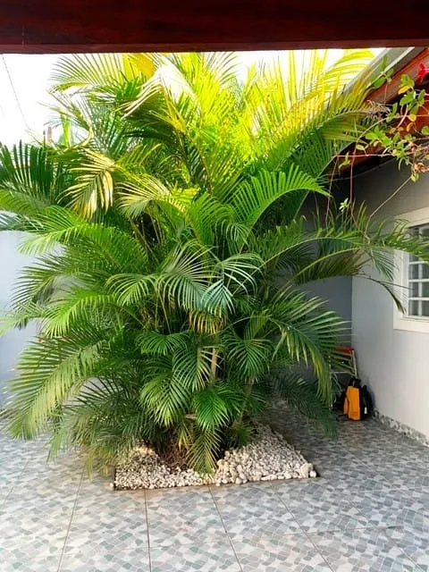 Imagem Casa à venda, Residencial Parque das Palmeiras, Pindamonhangaba, SP