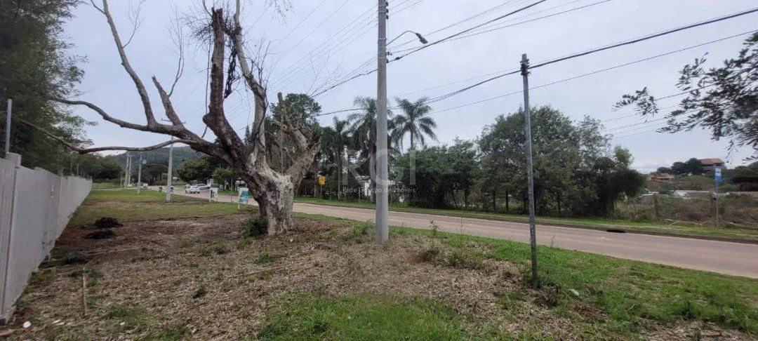 Imagem Terreno para Venda - 3.037m² no bairro Campo Novo