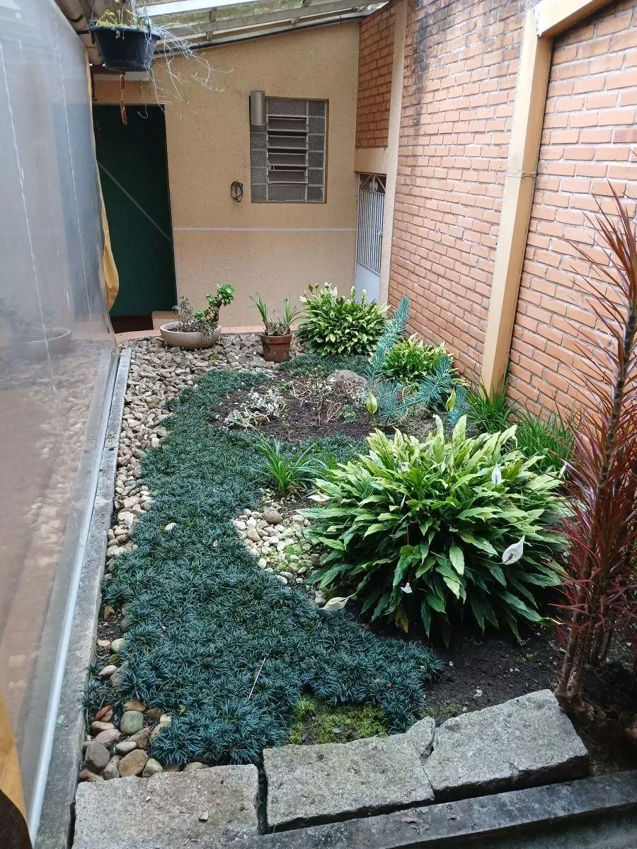 Imagem Casa com 4 Quartos à Venda, 276 m² em Juvevê - Curitiba