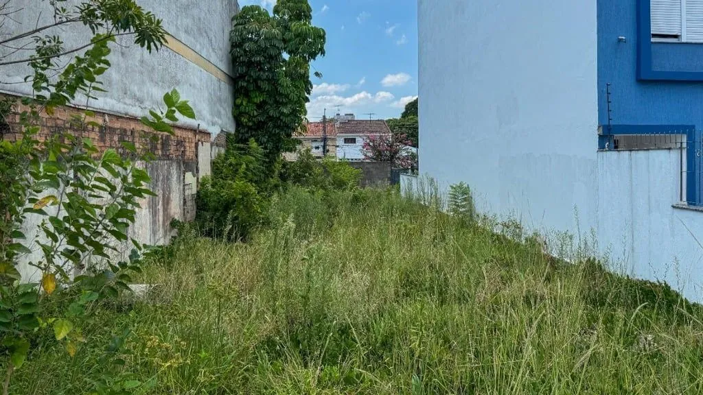 Imagem Terreno em São Geraldo
