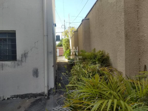Imagem Apartamento, Jardim Nazareth - São José do Rio Preto