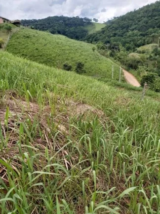 Imagem Terreno Residencial à venda, Centro, Santo Antônio do Pinhal - TE0001.