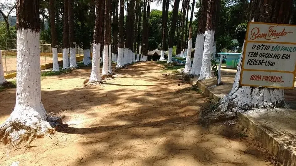 Foto do imóvel Sítio à Venda, 1.180 m² em Rua Avelino Mariano Pena, 1353 - Jardim Restinga, Suzano - SP