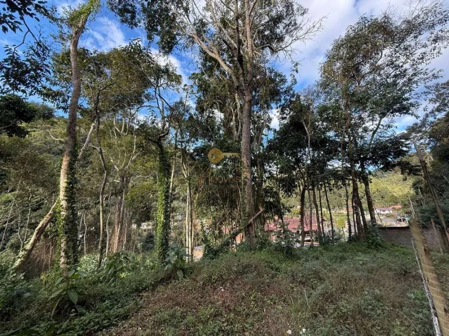 Imagem Terreno para Venda em Teresópolis / RJ no bairro Albuquerque