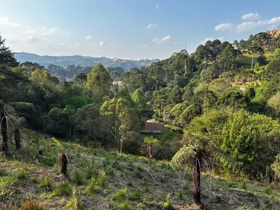 Imagem Lote Exclusivo com Vista Panorâmica