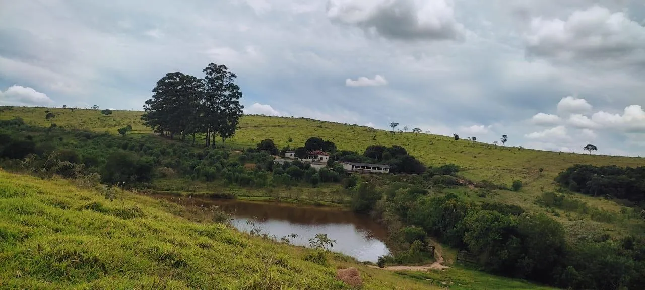 Imagem endo uma excelente fazenda em Desterro de Entre Rios com 277 hectares de terra