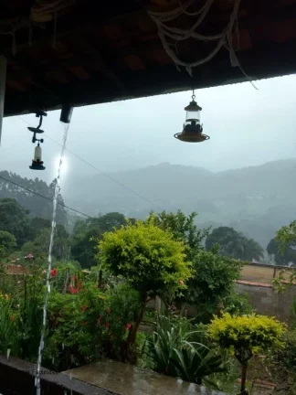Imagem CHACARA RURAL em CALDAS - MG, LARANJEIRA
