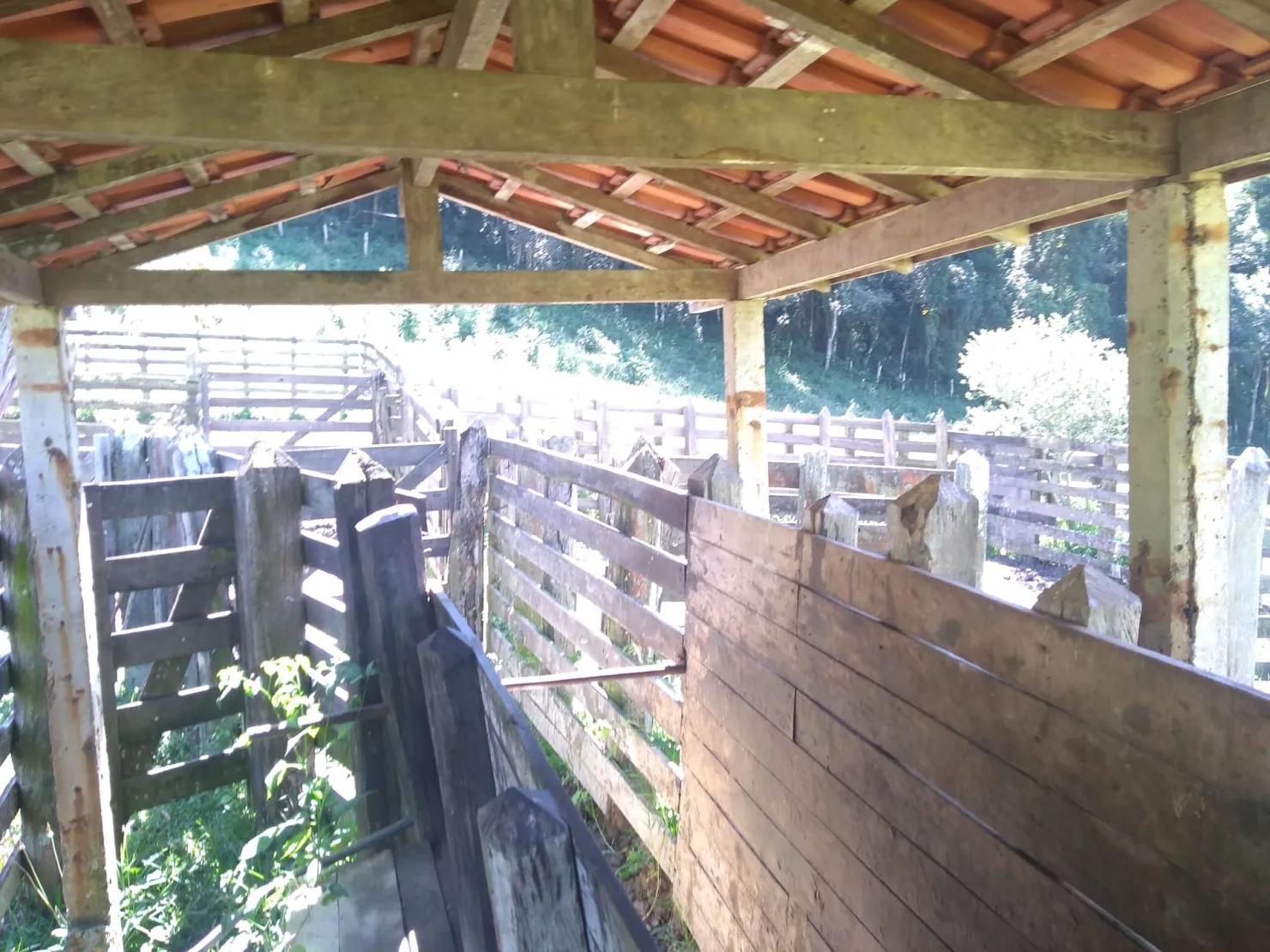 Imagem Chácara à venda 2 Quartos, 768000M², Zona Rural, Cunha - SP