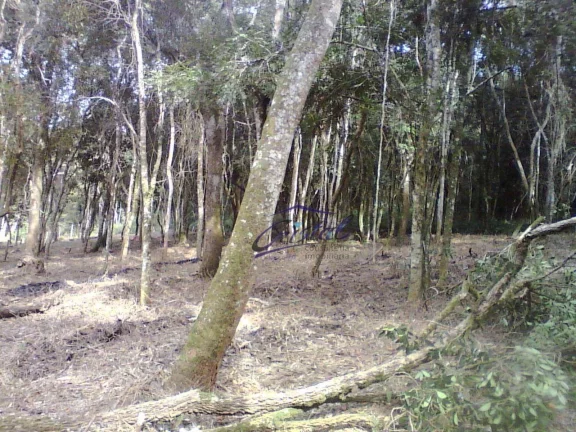 Imagem Terreno em condomínio com 1600m²