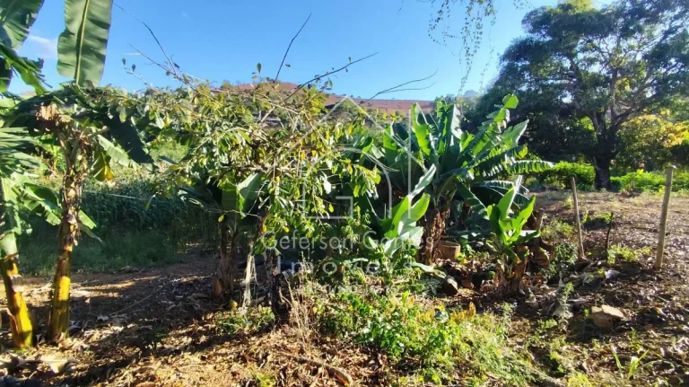 Imagem Chácara à venda - Boacha do Bugre - MG