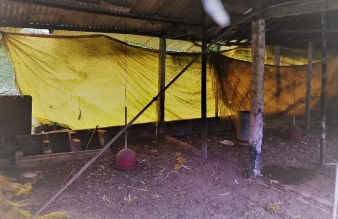 Imagem Chácara Condomínio para Venda em Camaragibe, Aldeia dos Camarás, 4 dormitórios, 2 suítes, 4 banheiros, 5 vagas