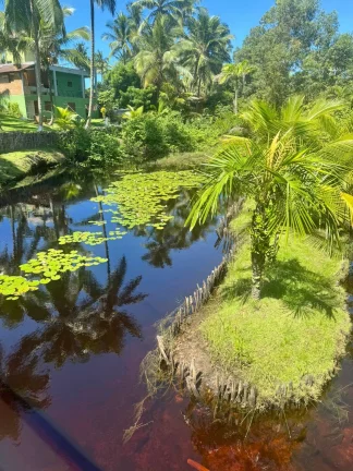 Imagem SÍTIO EXCLUSIVO FRENTE MAR - ALGODÕES