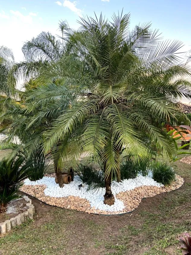 Imagem Sítio à Venda em Esmeraldas/MG , com 5.000 m² de área