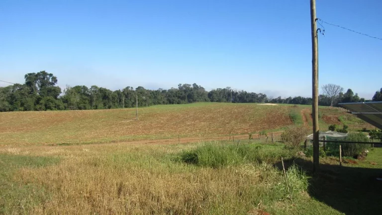Foto do imóvel Terreno para Venda em Concórdia, Santo Antônio em Santo Agostinho