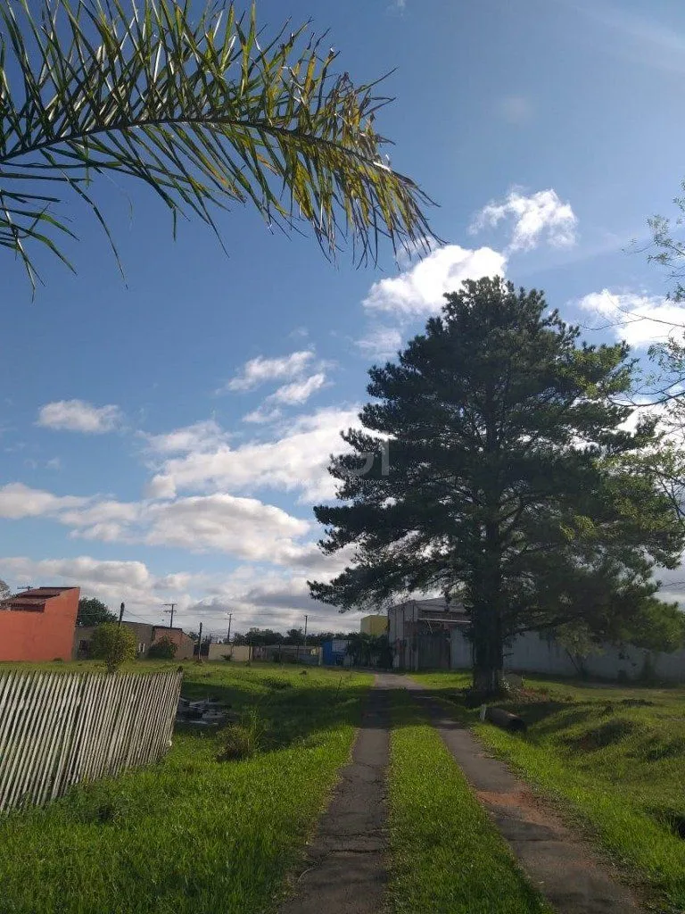Imagem Terreno em Restinga
