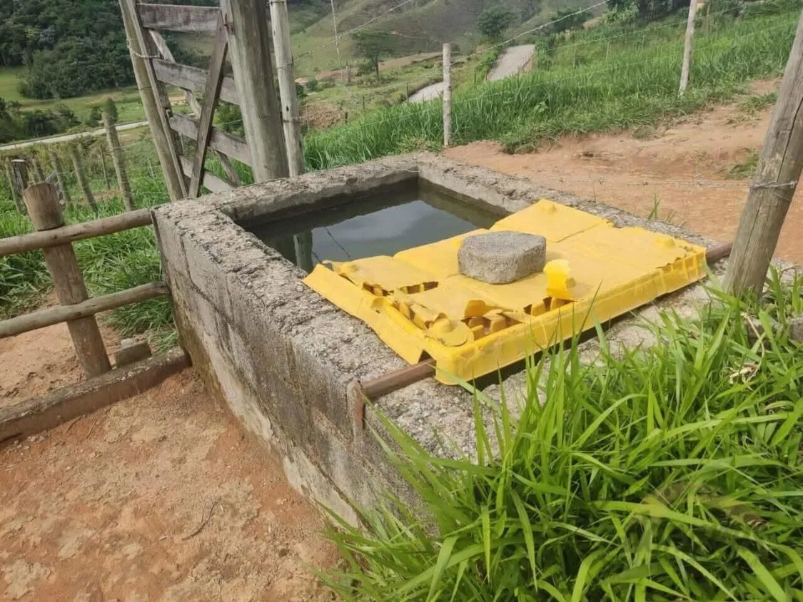 Imagem FAZENDA À VENDA Antônio Dias 48 hectares de terra