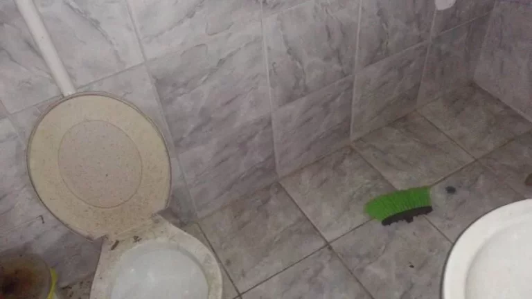 Imagem Belo Sítio com 2.160m² – Frente para o Asfalto – Águas Claras, Viamão/RS.