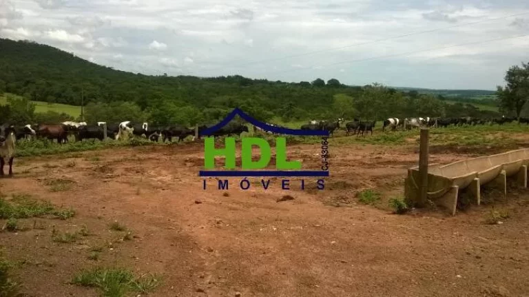 Imagem FAZENDA 38,5 ALQS TRIPLA APTIDÃO MUITA ÁGUA EM PIRACANJUBA - GO.