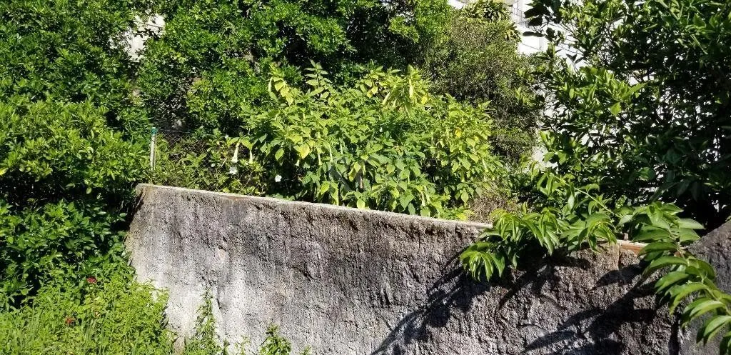 Imagem Oportunidade Para Construtora Comprar