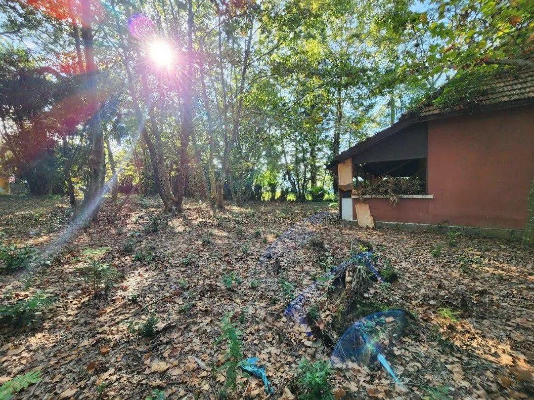 Imagem Terreno em Pedra Redonda