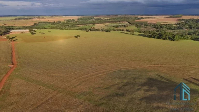 Fazenda Anápolis Goiás-GO Grande Potencial para Pecuária, Agricultura, Loteamento e Mineração