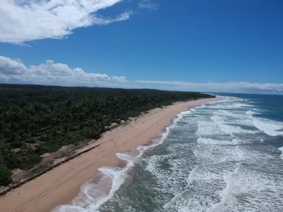 Imagem Paraíso frente mar