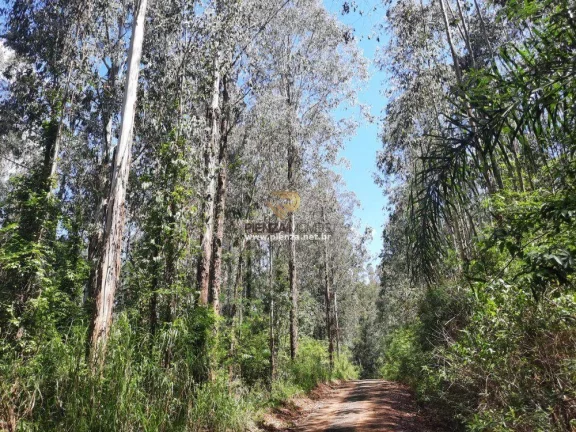 Imagem Área Agrícola para Venda em Concórdia, Interior