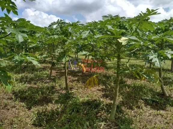 Imagem Imóveis Belém vende casa no município de Vigia de Nazaré.