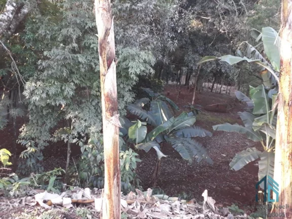Imagem Chácara 4.000 mil m², com casa localizado em Enéas Marques - PR