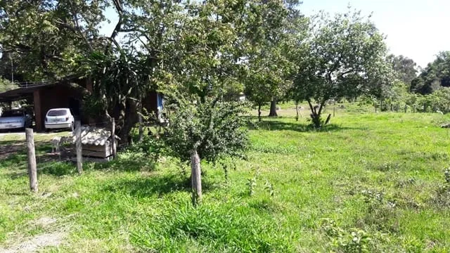 Imagem Chácara à venda 3 Quartos, 1 Suite, 4 Vagas, 8933.77M², Feital, Pindamonhangaba - SP