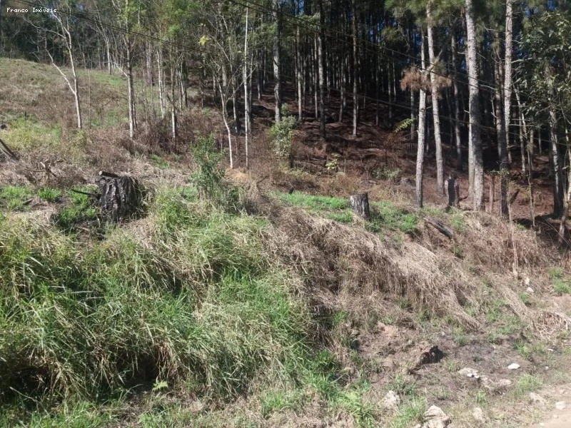 Imagem Área para Venda em Ribeirão Pires, Ouro Fino Paulista