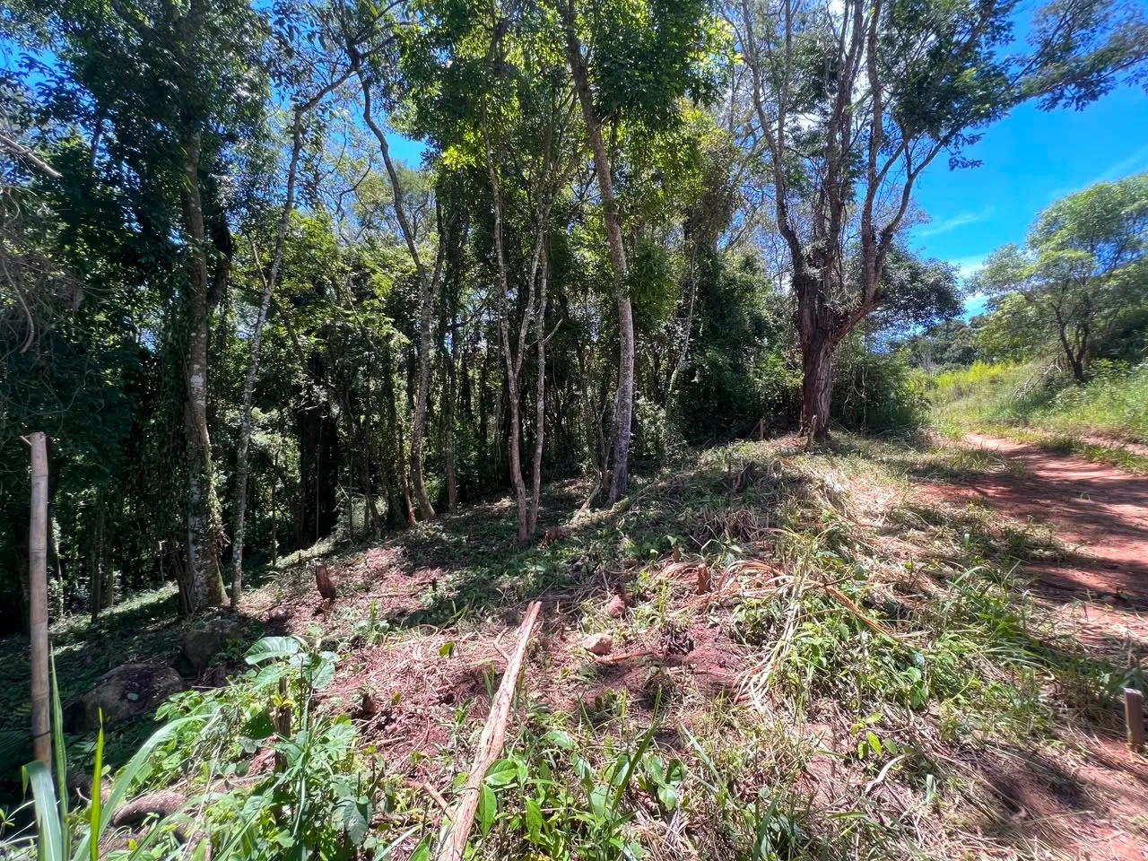 Imagem Terreno à 600mts da Repressa de Itupararanga no Loteamento Saveiros de Ibiúna