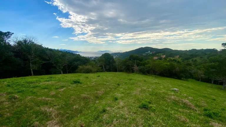 Imagem Terreno à venda em Garopaba-SC, na Praia da Silveira, com 4.908,00 m² de área! Aproveite essa oportunidade única!